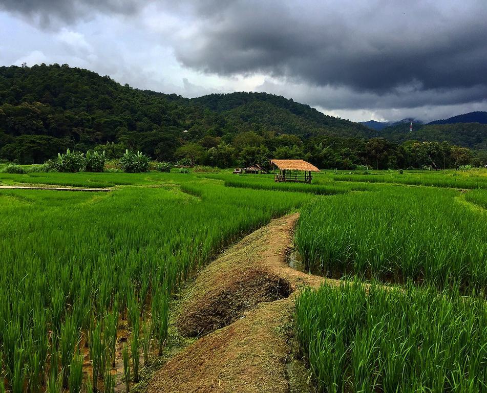 บุหลันบุรี เชียงใหม่ รีสอร์ต Hotel ภายนอก รูปภาพ