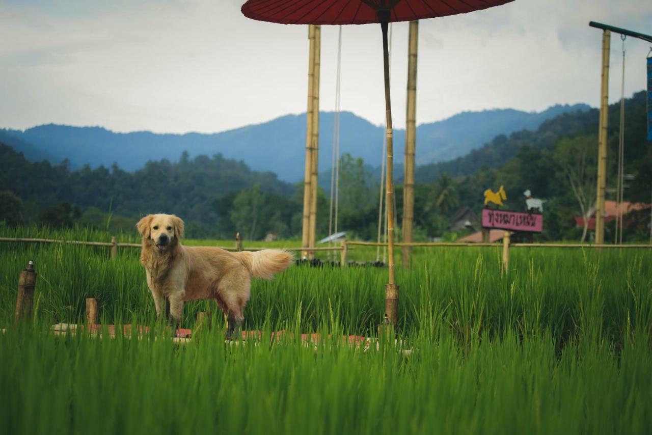 บุหลันบุรี เชียงใหม่ รีสอร์ต Hotel ภายนอก รูปภาพ